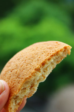 Butter-cookies